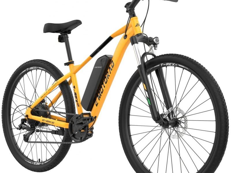 Bicicleta Eléctrica MTB 29" E Motorad T- Rex Air 2 opcion