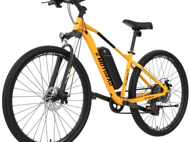 Bicicleta Eléctrica MTB 29" E Motorad T- Rex Air 2 opcion