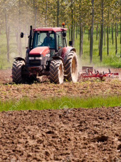 Industria y agricultura